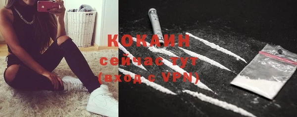 прущие крисы Козловка