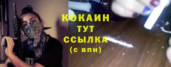 мдпв Кодинск
