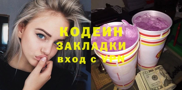 мдпв Кодинск