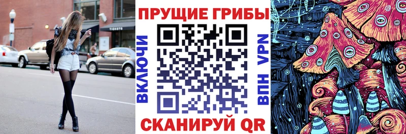 Галлюциногенные грибы MAGIC MUSHROOMS  Купить где  Дербент
